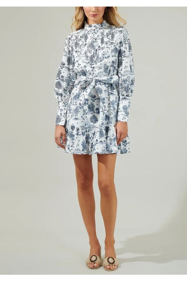 Sugarlips Renzo Toile Pintuck Shift Dress