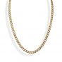 Liza Schwartz Curb Chain Necklace