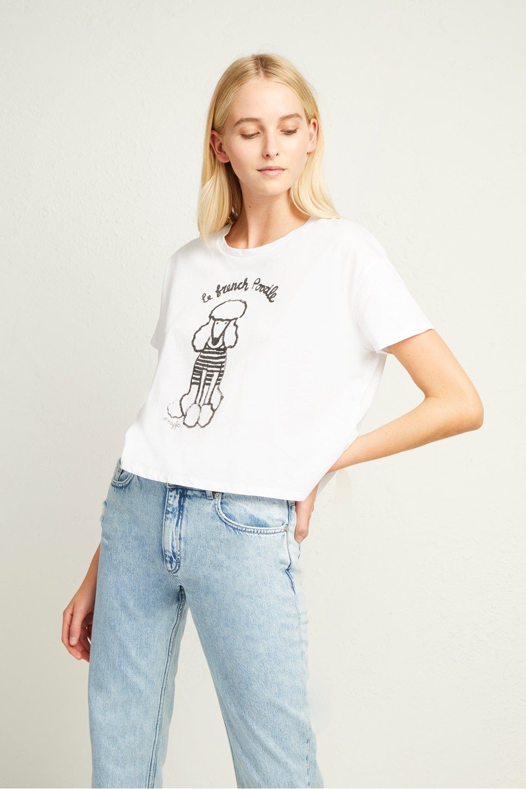 poodle in pocket t shirt